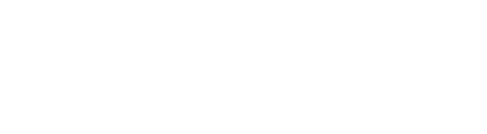 BMN-PRO-linelogo